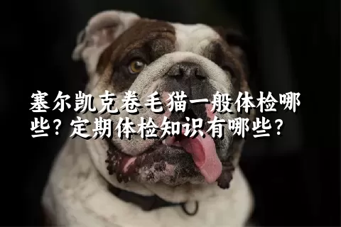 塞尔凯克卷毛猫一般体检哪些？定期体检知识有哪些？