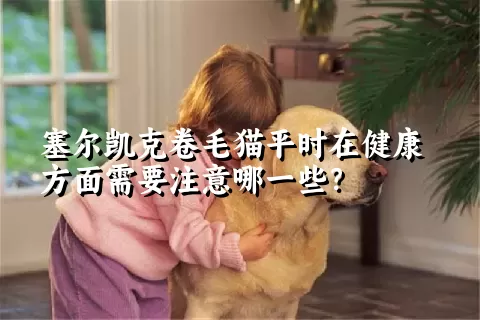 塞尔凯克卷毛猫平时在健康方面需要注意哪一些？