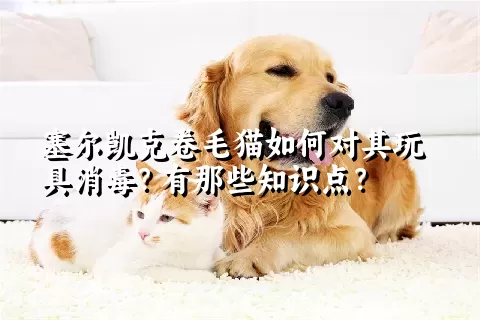 塞尔凯克卷毛猫如何对其玩具消毒？有那些知识点？