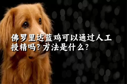 佛罗里达蓝鸡可以通过人工授精吗？方法是什么？