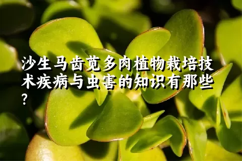 沙生马齿苋多肉植物栽培技术疾病与虫害的知识有那些？ 