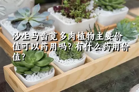 沙生马齿苋多肉植物主要价值可以药用吗？有什么药用价值？