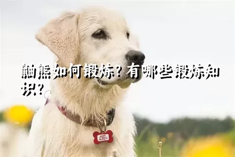 鼬熊如何锻炼？有哪些锻炼知识？