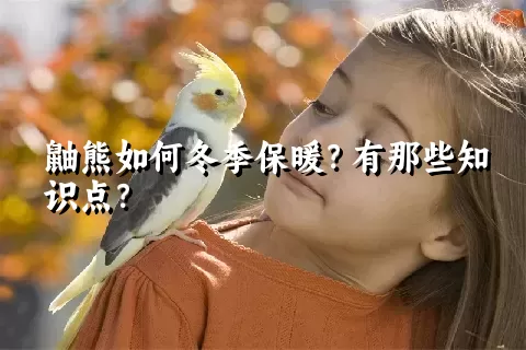 鼬熊如何冬季保暖？有那些知识点？