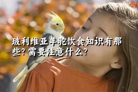 玻利维亚羊驼饮食知识有那些？需要注意什么？