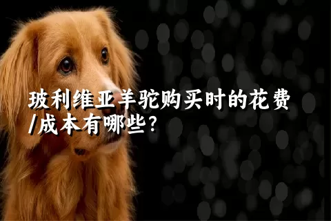 玻利维亚羊驼购买时的花费/成本有哪些？