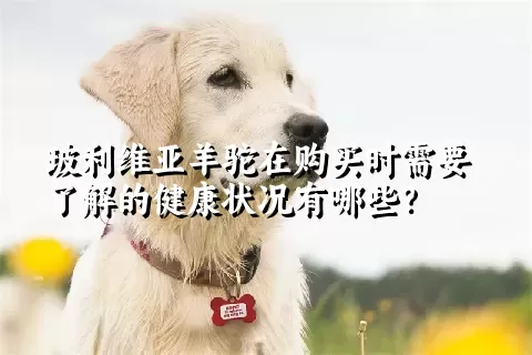 玻利维亚羊驼在购买时需要了解的健康状况有哪些？