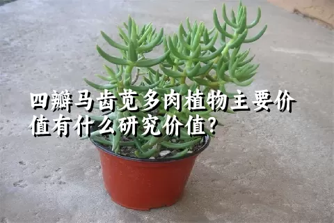 四瓣马齿苋多肉植物主要价值有什么研究价值？