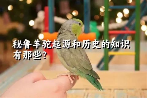 秘鲁羊驼起源和历史的知识有那些？