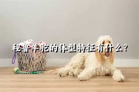 秘鲁羊驼的体型特征有什么？