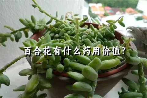 百合花有什么药用价值？