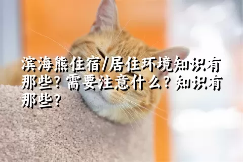 滨海熊住宿/居住环境知识有那些？需要注意什么？知识有那些？