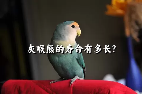 灰喉熊的寿命有多长?