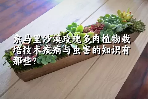 索马里沙漠玫瑰多肉植物栽培技术疾病与虫害的知识有那些？ 