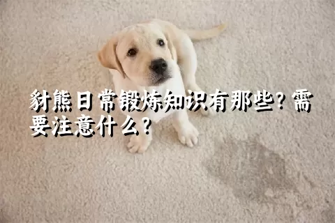 豺熊日常锻炼知识有那些？需要注意什么？