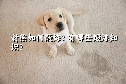 豺熊如何锻炼？有哪些锻炼知识？