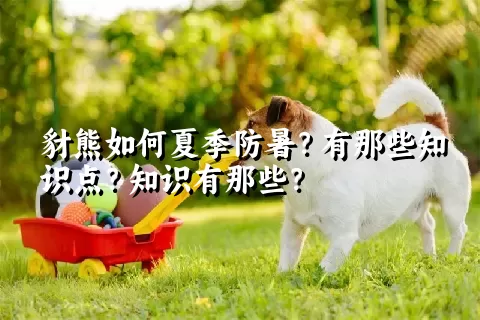 豺熊如何夏季防暑？有那些知识点？知识有那些？