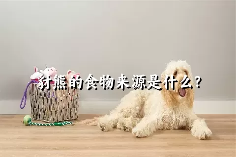 豺熊的食物来源是什么？