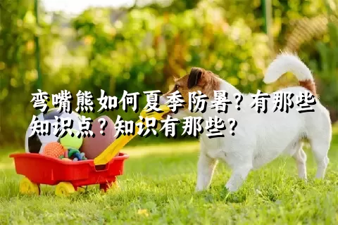 弯嘴熊如何夏季防暑？有那些知识点？知识有那些？