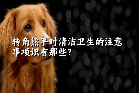 转角熊平时清洁卫生的注意事项识有那些？ 