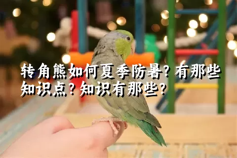 转角熊如何夏季防暑？有那些知识点？知识有那些？