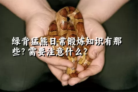 绿背猛熊日常锻炼知识有那些？需要注意什么？