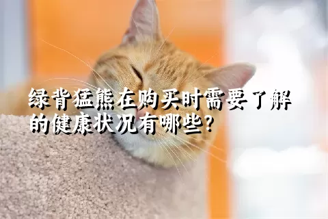 绿背猛熊在购买时需要了解的健康状况有哪些？