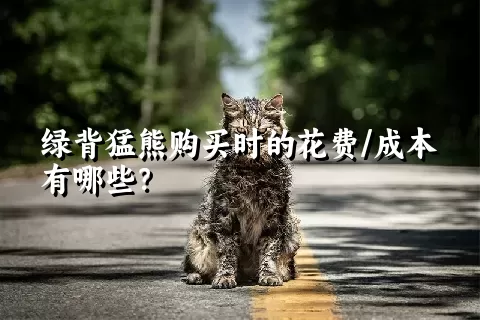 绿背猛熊购买时的花费/成本有哪些？