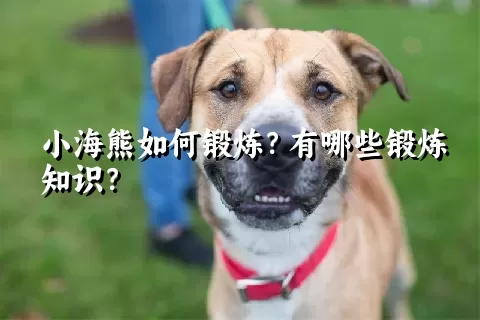 小海熊如何锻炼？有哪些锻炼知识？