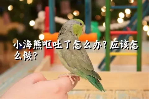 小海熊呕吐了怎么办？应该怎么做？