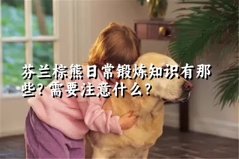 芬兰棕熊日常锻炼知识有那些？需要注意什么？