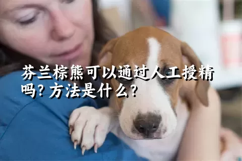 芬兰棕熊可以通过人工授精吗？方法是什么？