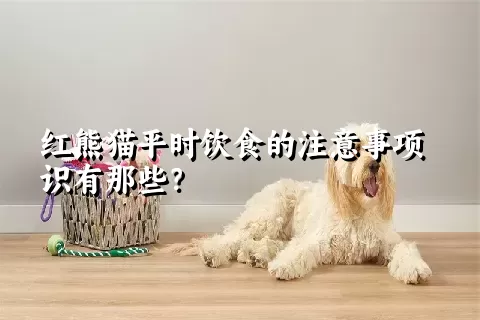 红熊猫平时饮食的注意事项识有那些？ 