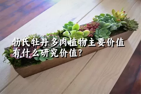 勃氏牡丹多肉植物主要价值有什么研究价值？