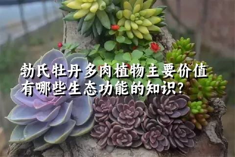 勃氏牡丹多肉植物主要价值有哪些生态功能的知识？