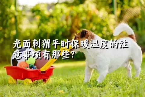 光面刺猬平时保暖温度的注意事项有那些？ 