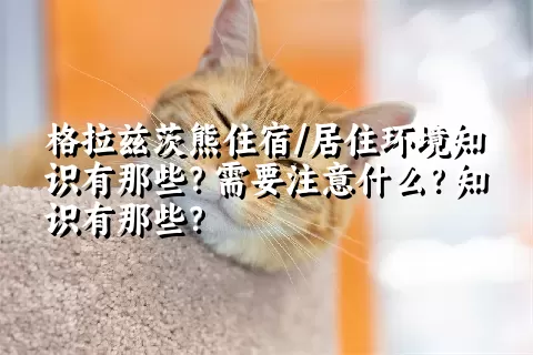 格拉兹茨熊住宿/居住环境知识有那些？需要注意什么？知识有那些？