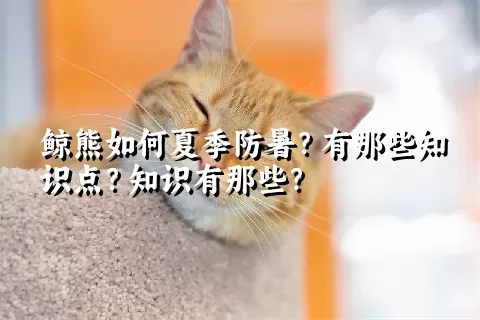 鲸熊如何夏季防暑？有那些知识点？知识有那些？