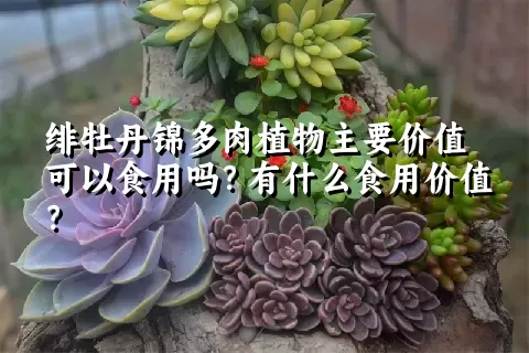 绯牡丹锦多肉植物主要价值可以食用吗？有什么食用价值？