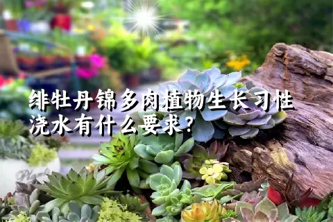 绯牡丹锦多肉植物生长习性浇水有什么要求？	