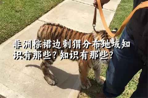 非洲棕裙边刺猬分布地域知识有那些？知识有那些？