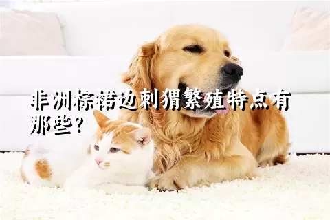 非洲棕裙边刺猬繁殖特点有那些？