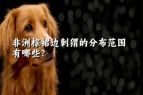 非洲棕裙边刺猬的分布范围有哪些？