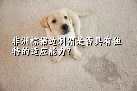 非洲棕裙边刺猬是否具有独特的适应能力？