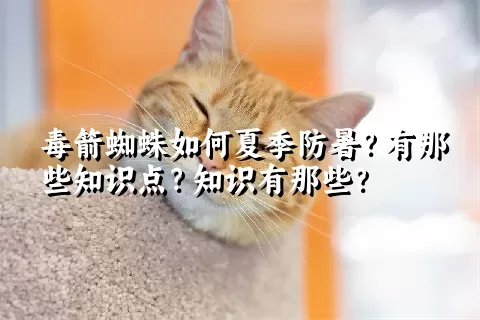 毒箭蜘蛛如何夏季防暑？有那些知识点？知识有那些？