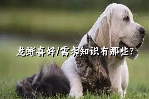 龙蜥喜好/需求知识有那些？