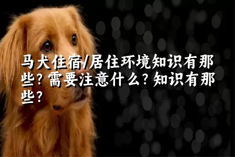 马犬住宿/居住环境知识有那些？需要注意什么？知识有那些？