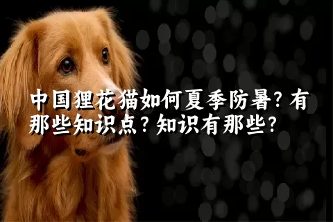 中国狸花猫如何夏季防暑？有那些知识点？知识有那些？