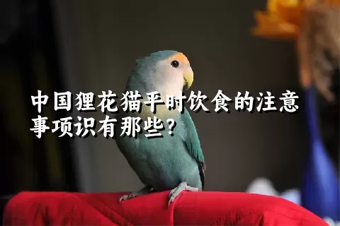 中国狸花猫平时饮食的注意事项识有那些？ 