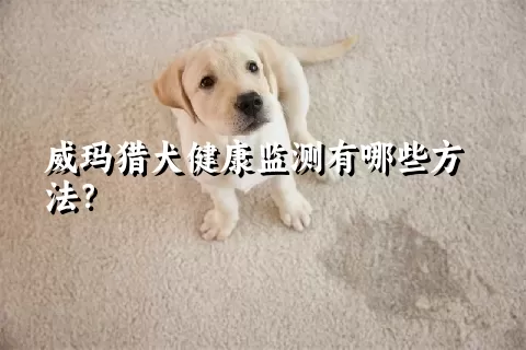 威玛猎犬健康监测有哪些方法？